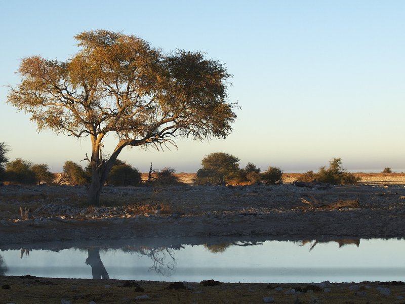 Etosha National Park, Okaukuejo